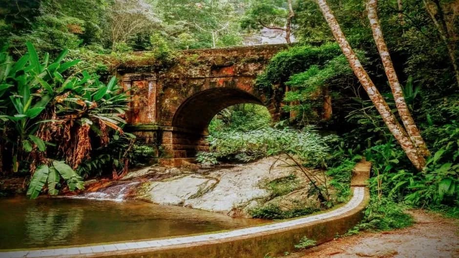 O Programa de Voluntariado do Parque Nacional da Tijuca